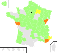 Alyssum incanum var. viride (Tausch) Rouy & Foucaud - carte de répartition