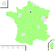 Bromus scabratus Link - carte de répartition