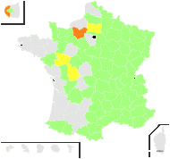 Campanula contracta Mutel - carte de répartition