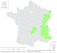 Carduus personata (L.) Jacq. - carte de répartition