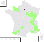 Centaurea angustifolia Schrank - carte de répartition