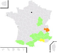 Centranthus lecoqii Jord. - carte de répartition