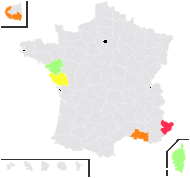 Cerastium ligusticum Viv. - carte de répartition