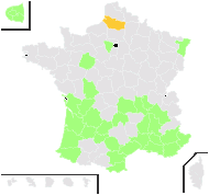 Cercis siliquastrum L. - carte de répartition