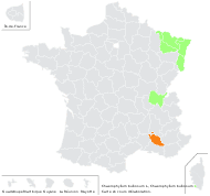 Chaerophyllum bulbosum L. - carte de répartition