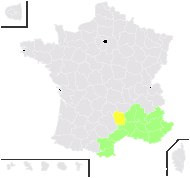 Coris monspeliensis L. - carte de répartition