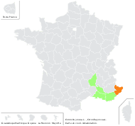 Coronilla juncea L. - carte de répartition
