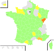 Corrigiola litoralis L. - carte de répartition