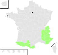 Crepis pygmaea L. - carte de répartition