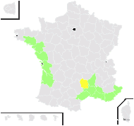 Crepis suffreniana (DC.) J.Lloyd - carte de répartition