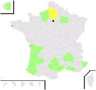 Cucumis melo var. microcarpus Pangalo - carte de répartition