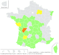 Lupinus angustifolius L. - carte de répartition