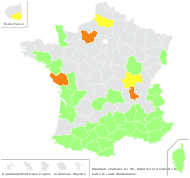 Diplotaxis erucoides (L.) DC. - carte de répartition