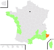 Ephedra maritima St.-Lag. - carte de répartition