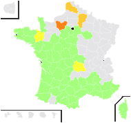 Ericodes scoparium (L.) Kuntze - carte de répartition