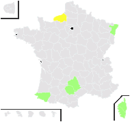 Lupinus luteus L. - carte de répartition