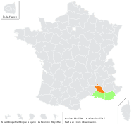 Genista lobelii DC. subsp. lobelii var. lobelii - carte de répartition