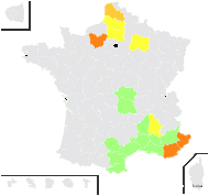 Glaucium corniculatum (L.) Rudolph - carte de répartition