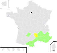 Helianthemum hirtum proles affine Foucaud & Rouy - carte de répartition