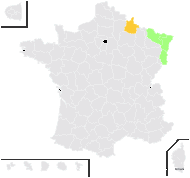Stoechas citrina Gueldenst. - carte de répartition