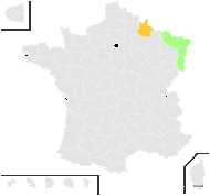 Helichrysum arenarium (L.) DC. - carte de répartition