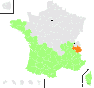 Helichrysum rigens Jord. & Fourr. - carte de répartition