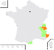 Avena odorata (L.) Koeler - carte de répartition