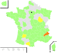 Raphanus erucaria J.F.Gmel. - carte de répartition