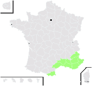 Medica coronata (L.) Bubani - carte de répartition