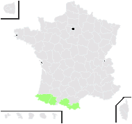 Iberis spathulata proles aniensis Foucaud & Rouy - carte de répartition