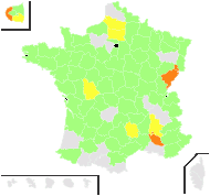 Inula helenium L. - carte de répartition