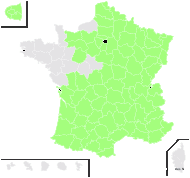 Cytisus pendulus Salisb. - carte de répartition