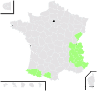 Leontopodium nivale (Ten.) Huet ex Hand.-Mazz. - carte de répartition