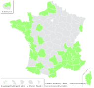 Lobularia maritima (L.) Desv. - carte de répartition