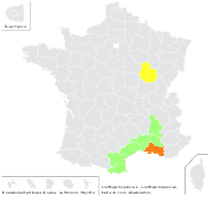 Loeflingia pentandra Cav. - carte de répartition