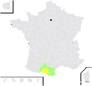 Trigonella hybrida Pourr. - carte de répartition