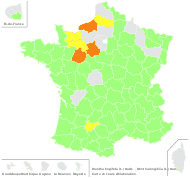Mentha dossiniana Déségl. & T.Durand - carte de répartition