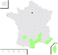 Nerium odorum Salisb. - carte de répartition