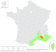 Parietaria lusitanica L. - carte de répartition