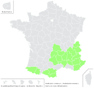 Pedicularis comosa L. - carte de répartition