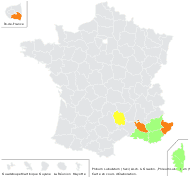 Phleum tenue (Host) Schrad. - carte de répartition