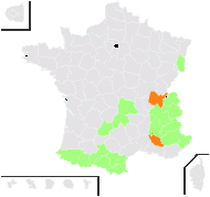 Plantago ovina Vill. - carte de répartition