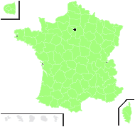 Prunella algeriensis Noe - carte de répartition
