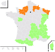 Bicchia albida (L.) Parl. - carte de répartition