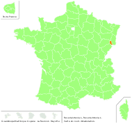 Reseda luteola L. - carte de répartition