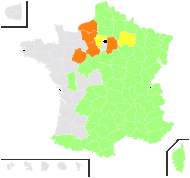 Rumex ×bellojocensis Gand. - carte de répartition