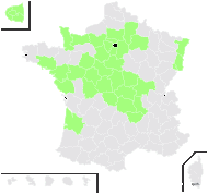 Rumex thyrsiflorus Fingerh. - carte de répartition