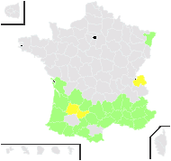 Satureja confinis Boiss. - carte de répartition