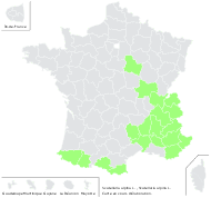 Scutellaria alpina L. - carte de répartition
