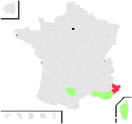 Medicago murex Willd. - carte de répartition